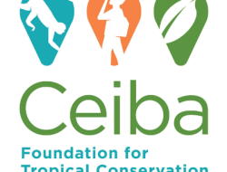 Ceiba Logo