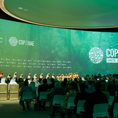 UN Climate Change Conference COP28