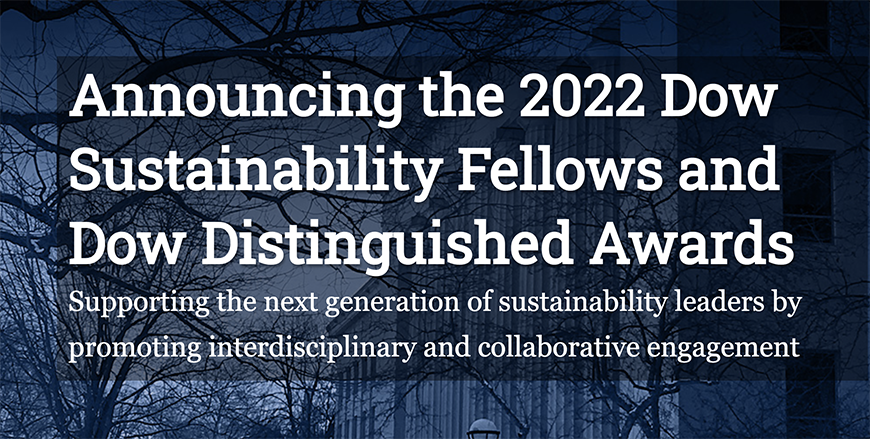 Announcing 2022 Dow Sustainability Fellows