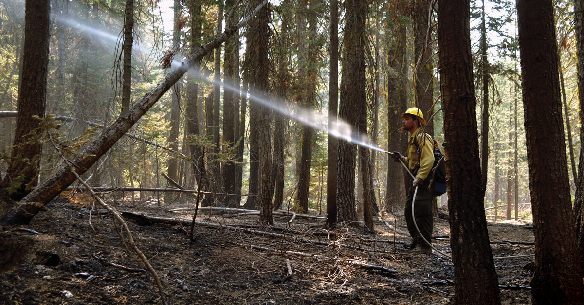 Fighting Wildfires is a Delicate Balance