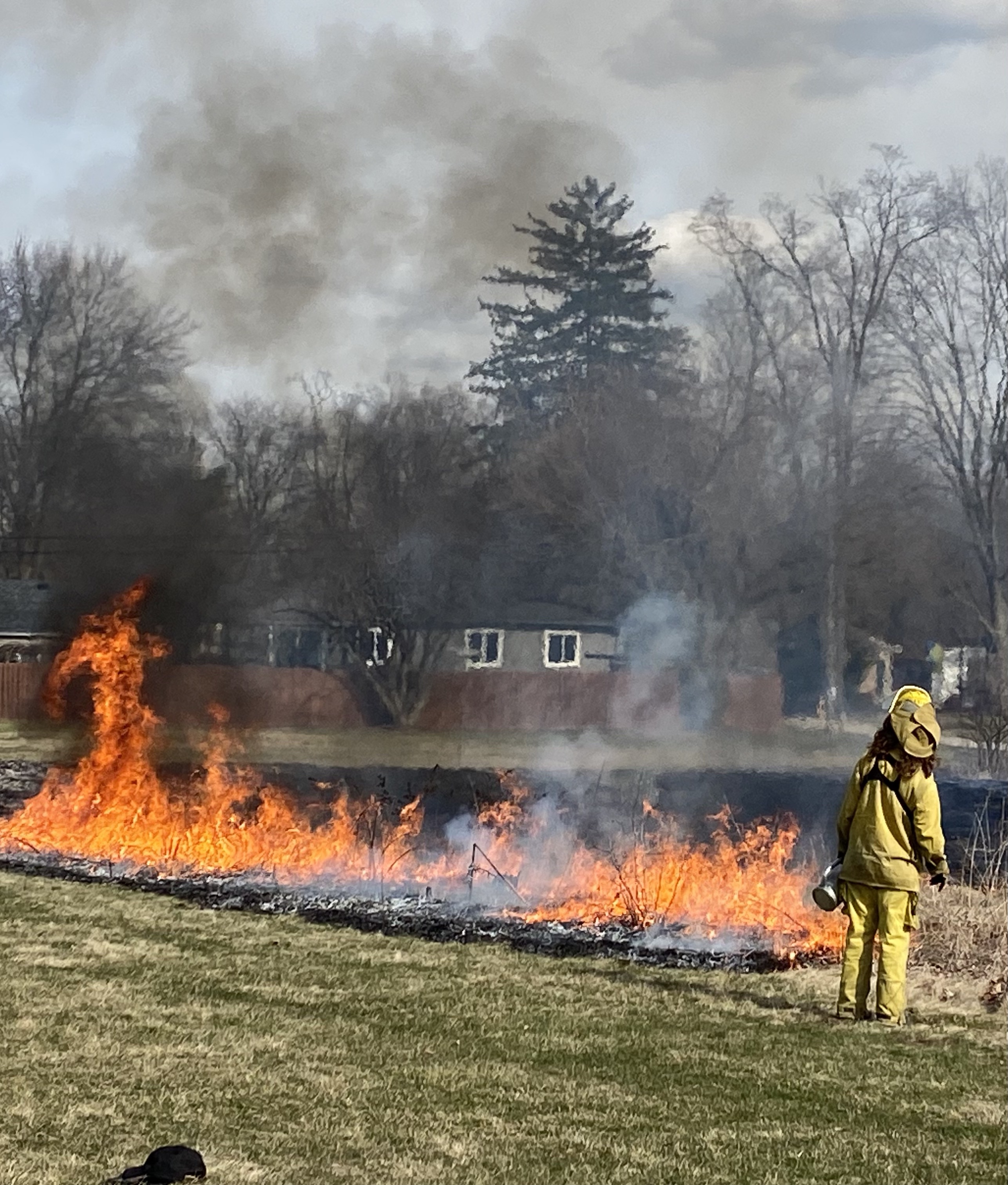 Anna applying fire during prescribed burn