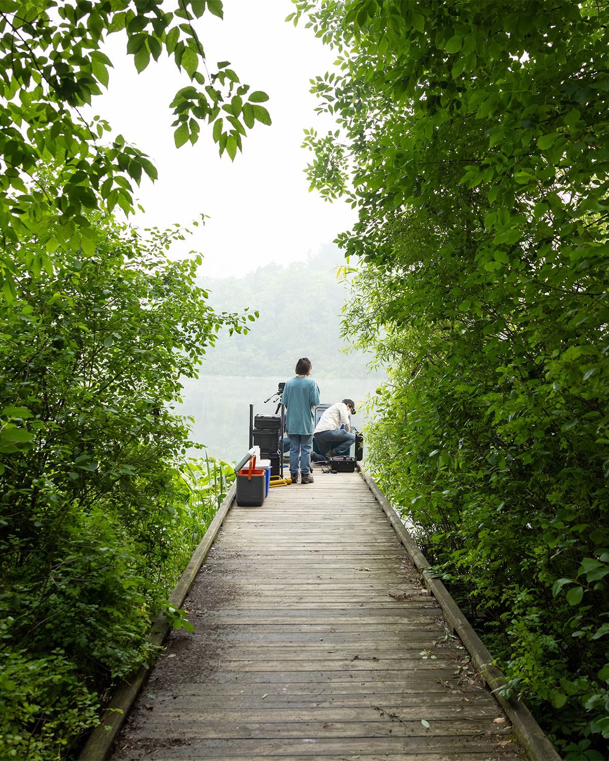 A team on researchers on a dock