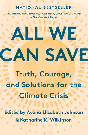 All We Can Save book 