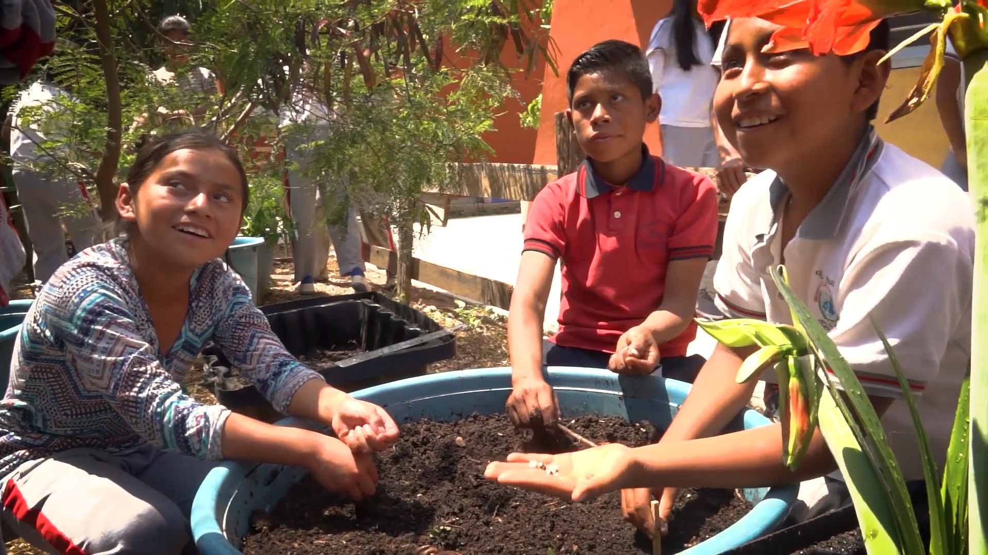Children planting garden