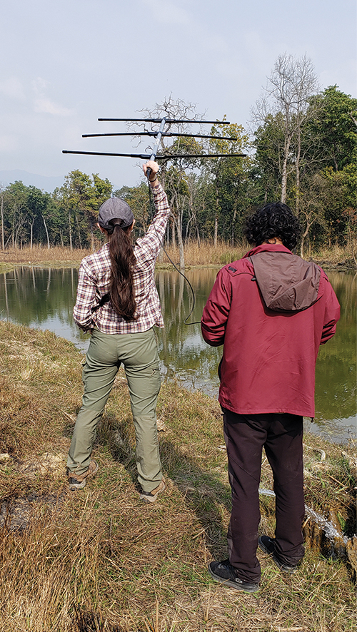 Amy Zuckerwise and Krishna Hengaju use GPS tracking technology to monitor tiger movement in their natural habitat. 