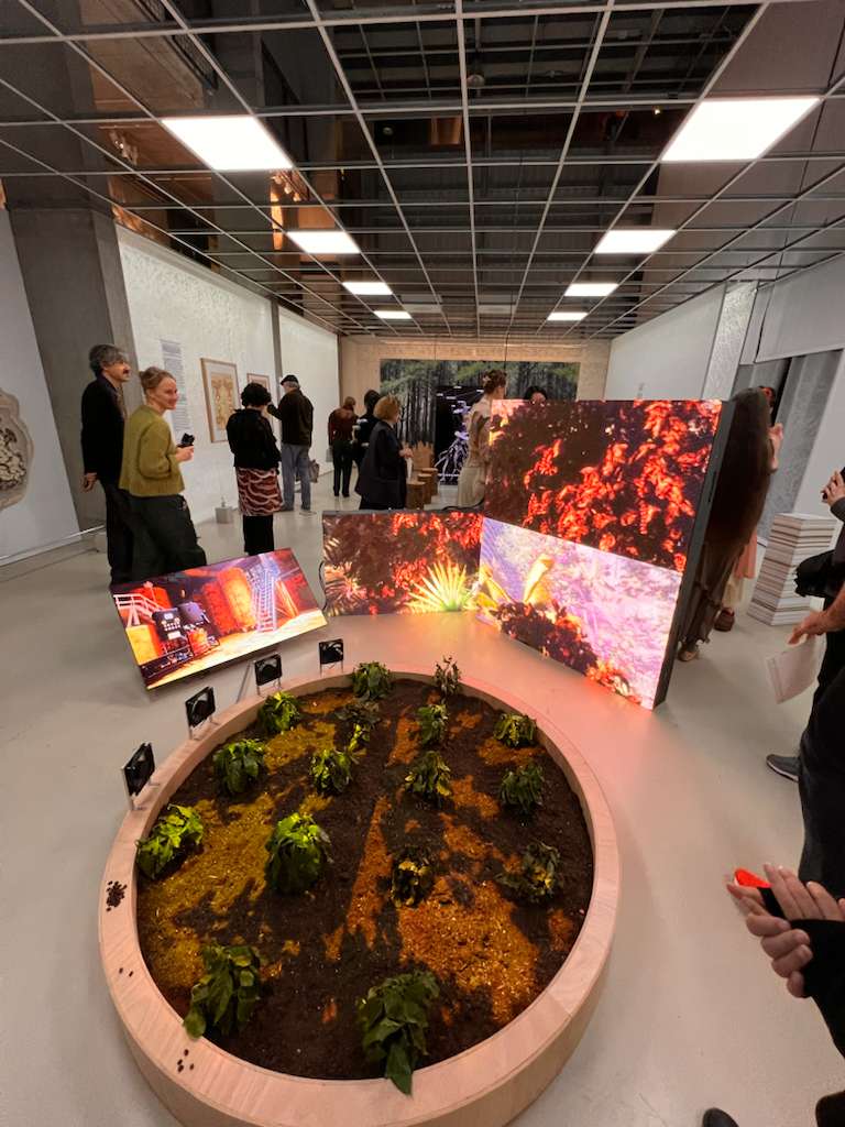 A photo of the coffee rust installation, Contagious Extraction.