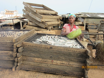 A woman loads fish into an outdoor smoker in the coastal Ghanaian  city of Elmina. Photo by Pam Jagger, University of Michigan.