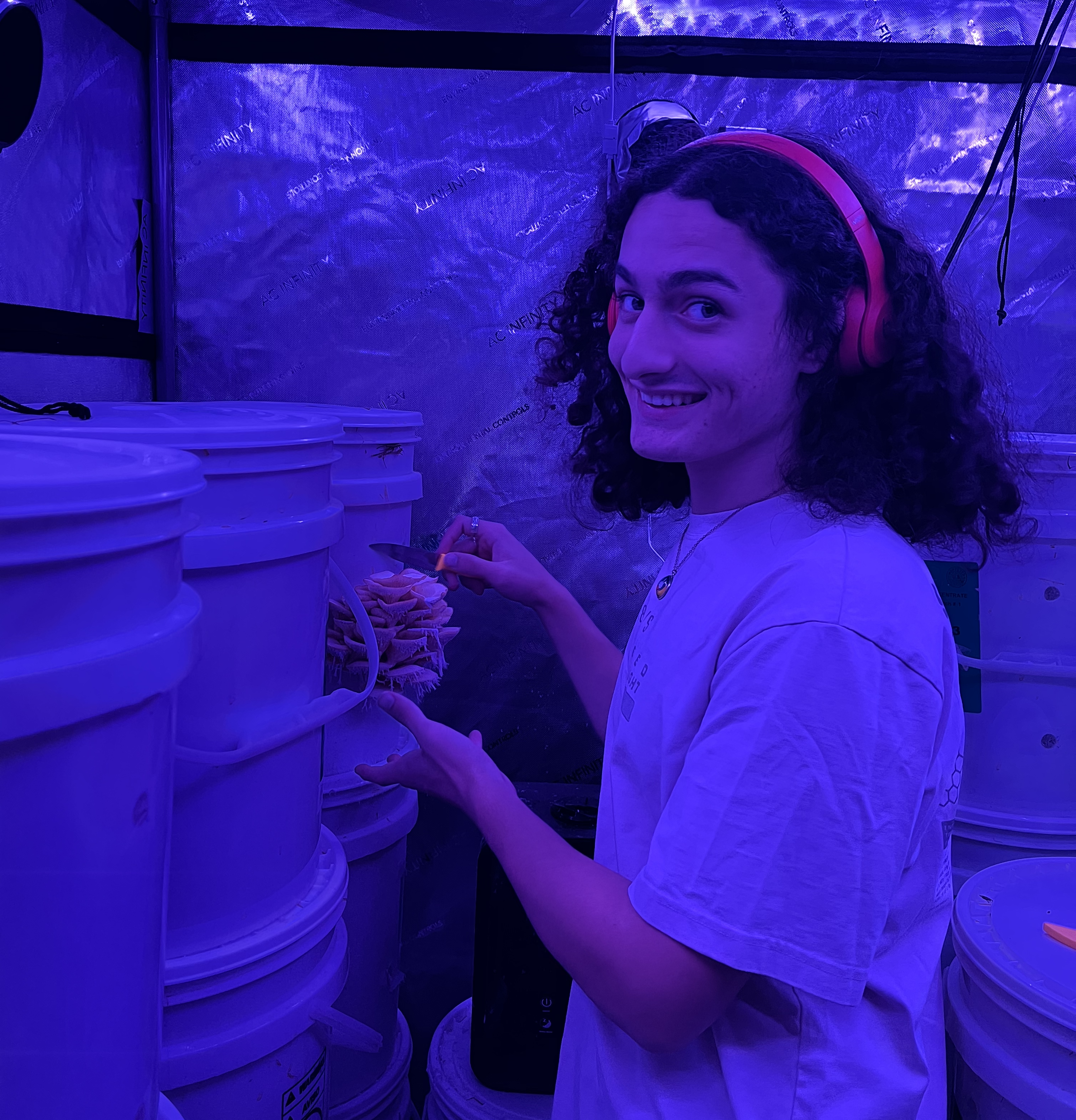 Student pictured tending to the mushrooms growing in the basement of the Oxford Houses.