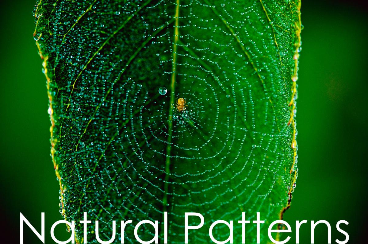 Natural Patterns