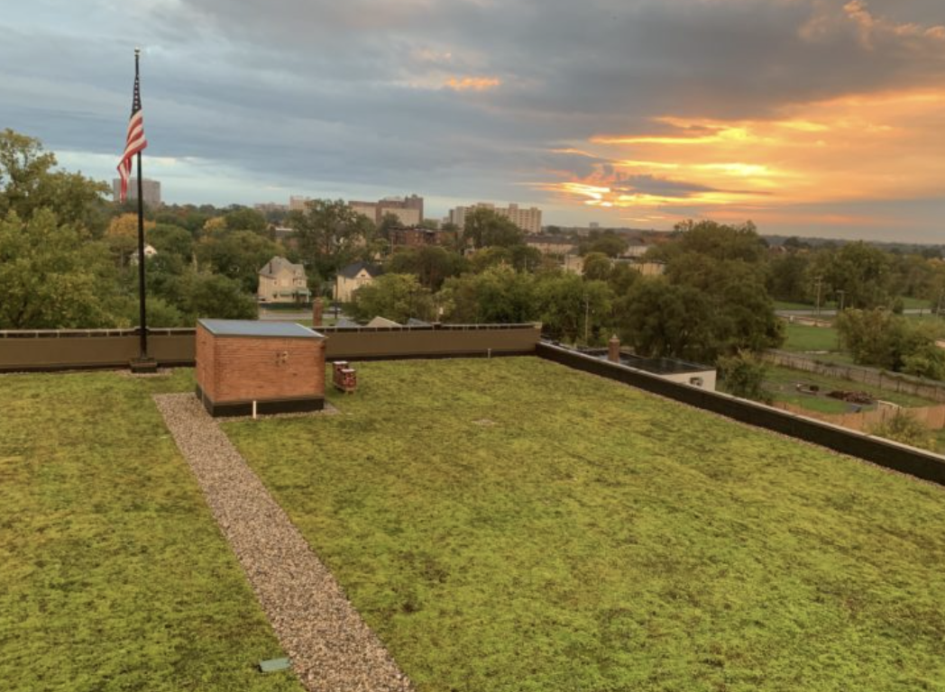 Photo of a green roof at the beltline center