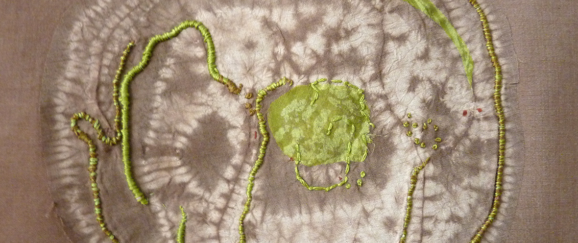 Textiles/Nature Observations and Connections