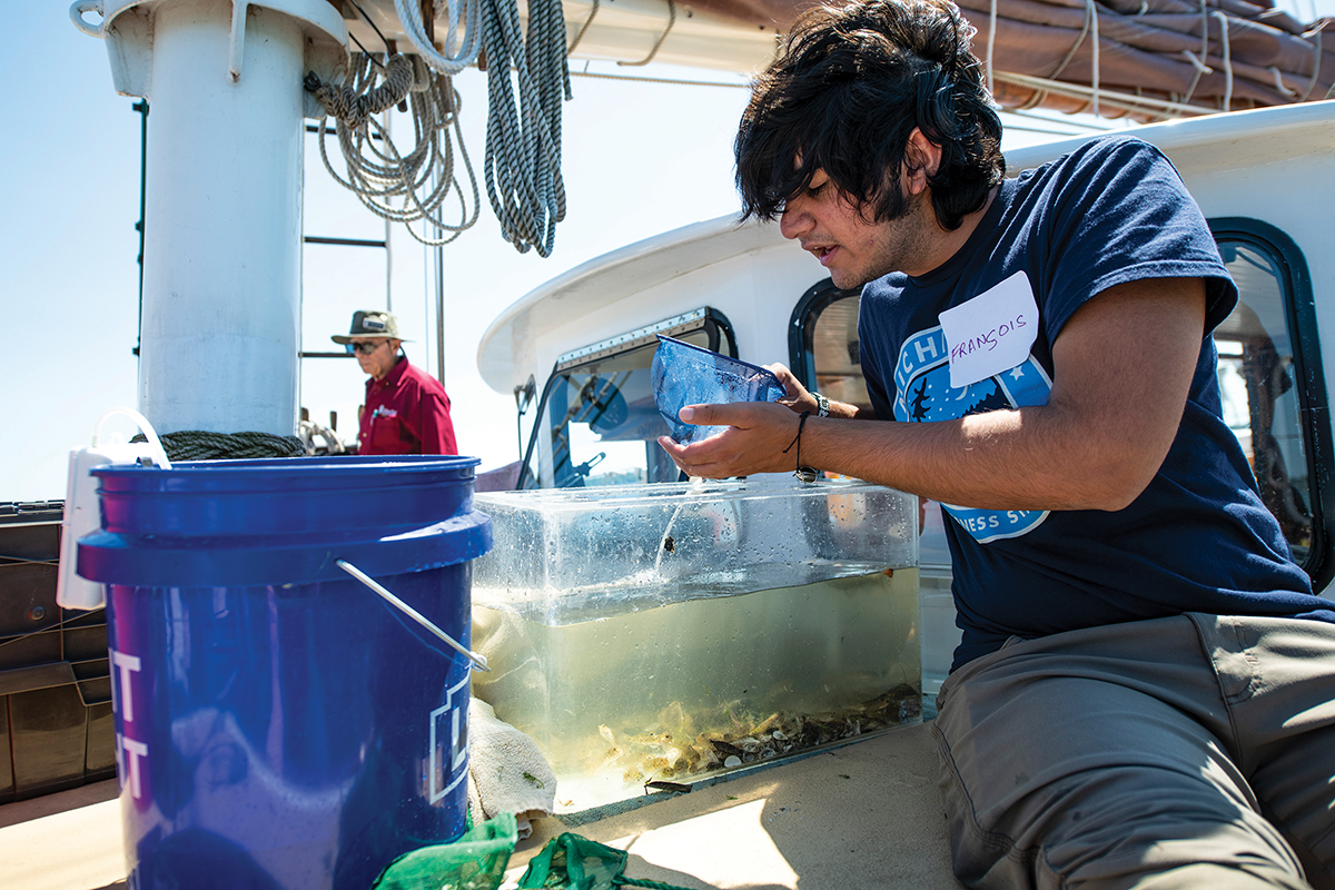 A student counts the number of invasive goby fish collected in the trawl net.