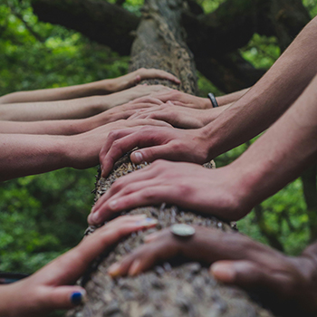 Hands on tree