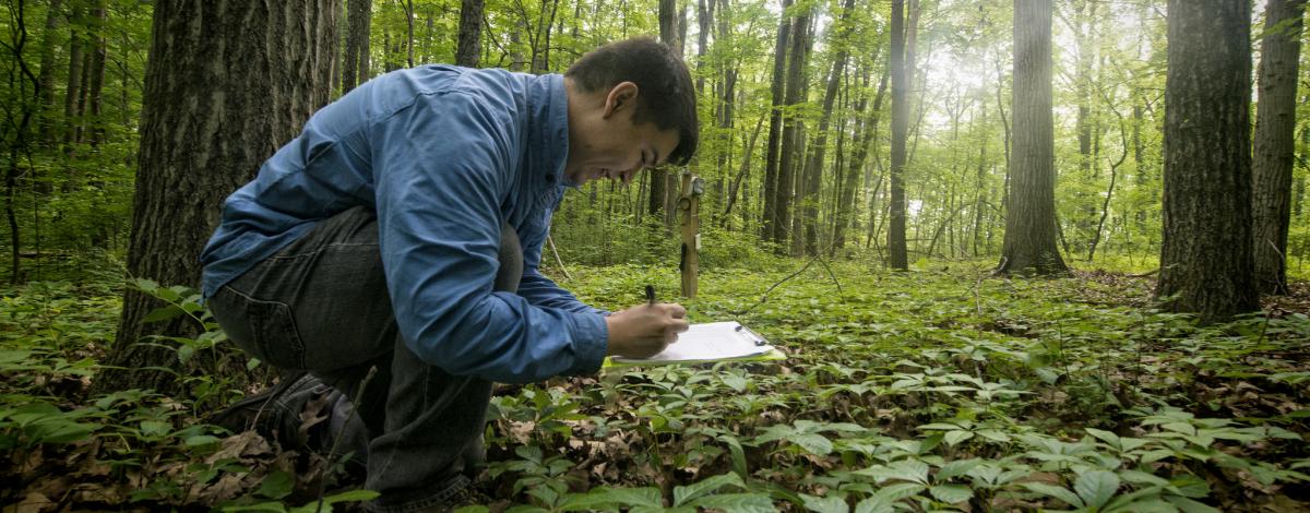 Saginaw Forest man writing on paper