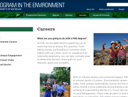 A preview of the PitE Careers Webpage