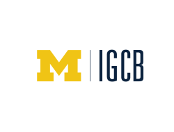 igcb_logo_placeholder