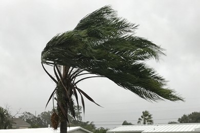 Hurricane Ida batters Louisiana: U-M experts available