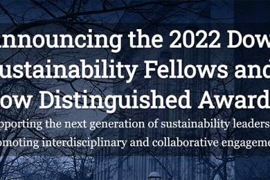 Announcing 2022 Dow Sustainability Fellows
