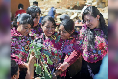 Students enjoying a Chiapas Educational Gardens Network meeting in Mexico. Photo: Alejandro Caputo