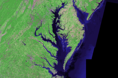 2023 Chesapeake Bay dead zone smallest on record