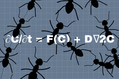 Illustration of ants on top of the Turing equation. Image credit: Chloe Oliva