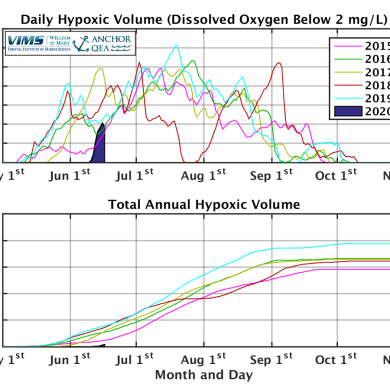 Real-time Estimates of Hypoxic Water Volume