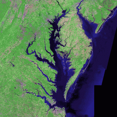 For the second straight year, smaller Chesapeake Bay dead zone forecast for the summer