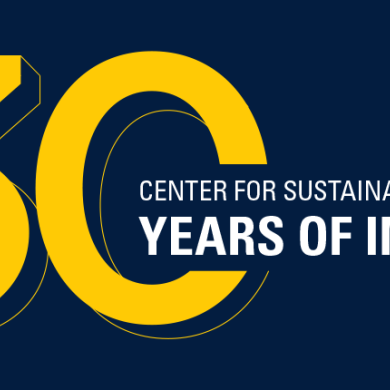 CSS 30 Years of Impact