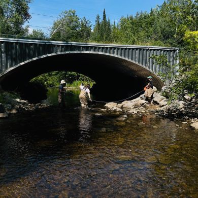 Three SEAS graduate students inspect the condition of a bridge in the Black Lake Watershed.