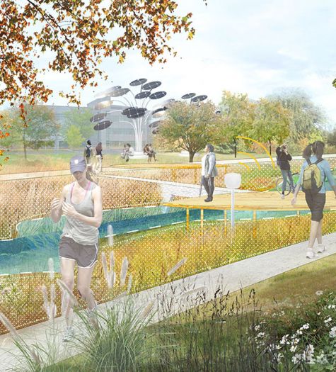 Perspective - The Dynamic Meadows enhance local habitats as demonstrations and social spaces.