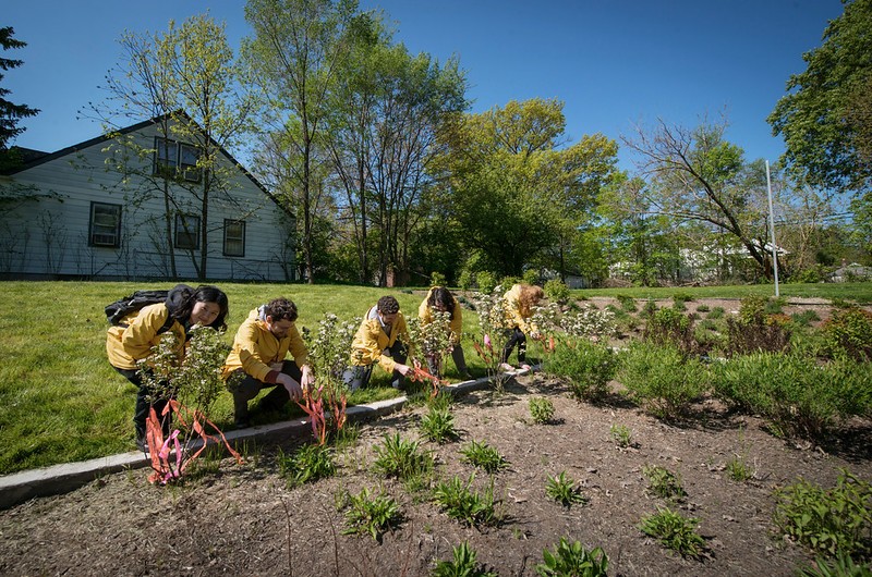 Bioretention Gardens in Detroit