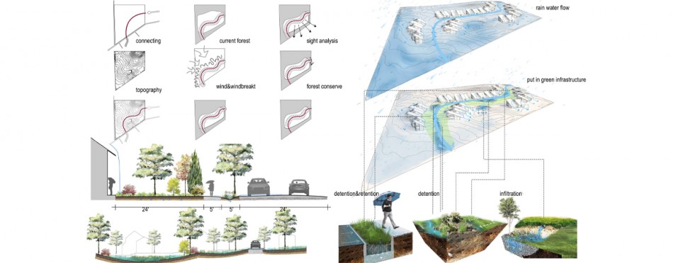 Ecological Site Design