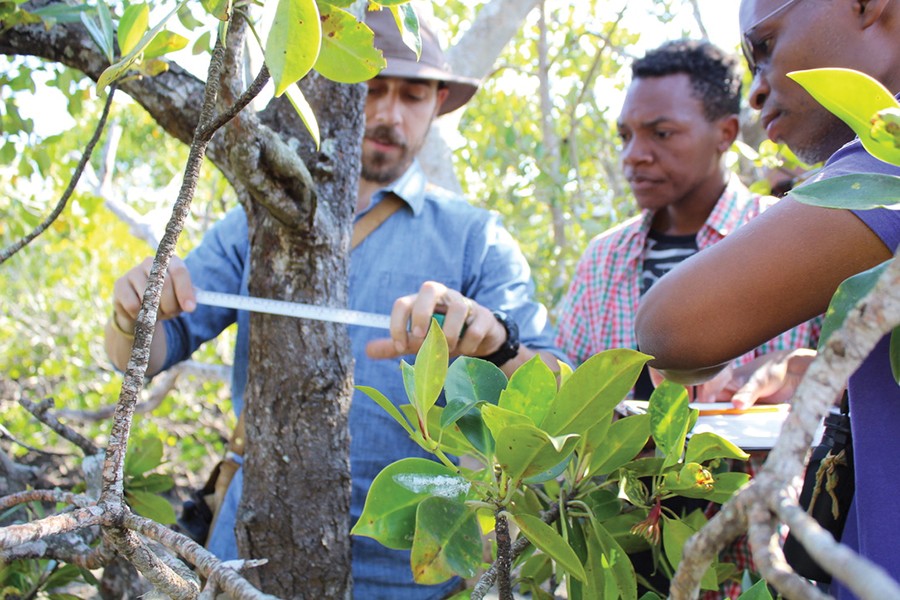 Andrew Kinzer works with local Kenyans to measure tree growth.