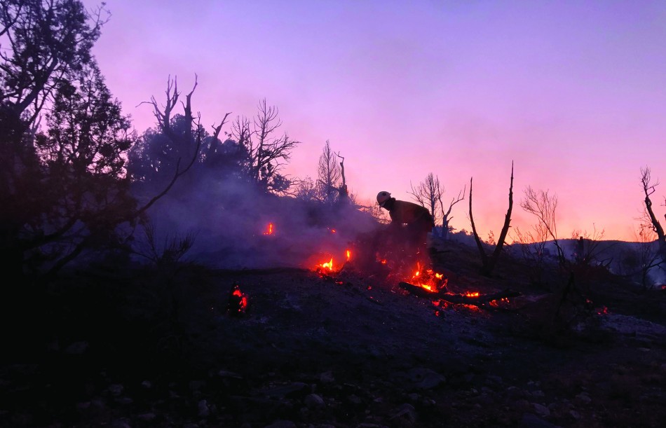 A member of the Moab Helitack Crew cuts down a burning stump during the Bushy Springs Fire near Blanding, Utah.