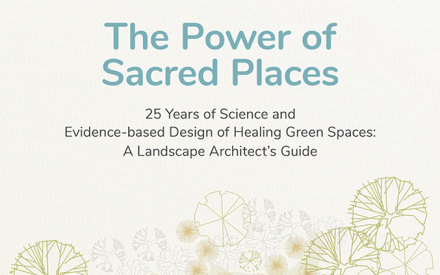 SEAS Grad Neha Srinivasan Authors Report about Healing Green Spaces