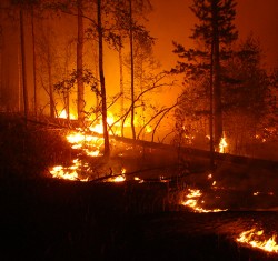 Wildfires, Communities, and Climate Change