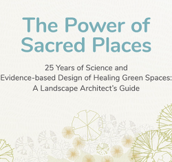 SEAS Grad Neha Srinivasan Authors Report about Healing Green Spaces