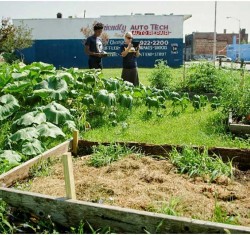 Urban agriculture in Detroit: Scattering vs. clustering and the prospects for scaling up