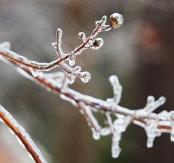Ice storm and widespread power outages in Michigan: U-M experts available