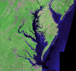 2023 Chesapeake Bay dead zone smallest on record