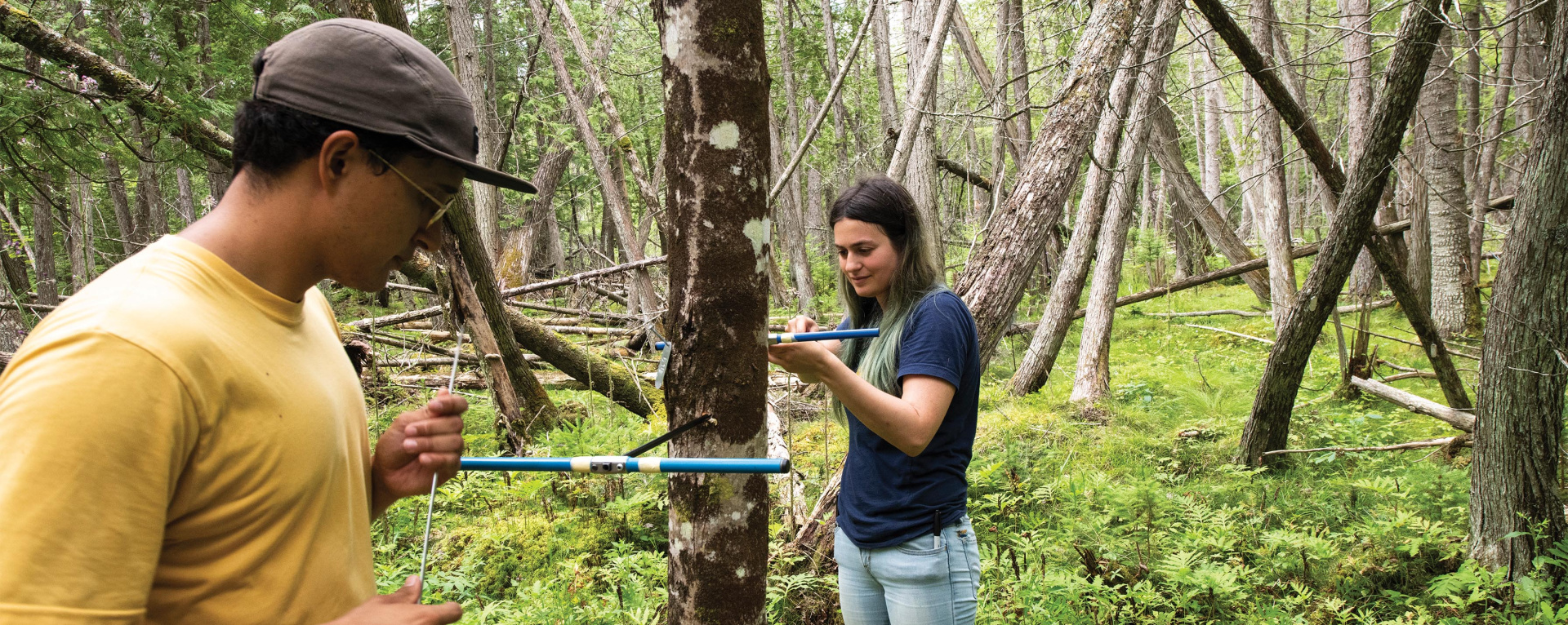 SEAS master’s students Ezekiel Herrera-Bevan and Chantalle Vincent take a tree core sample at the U-M Biological Station.
