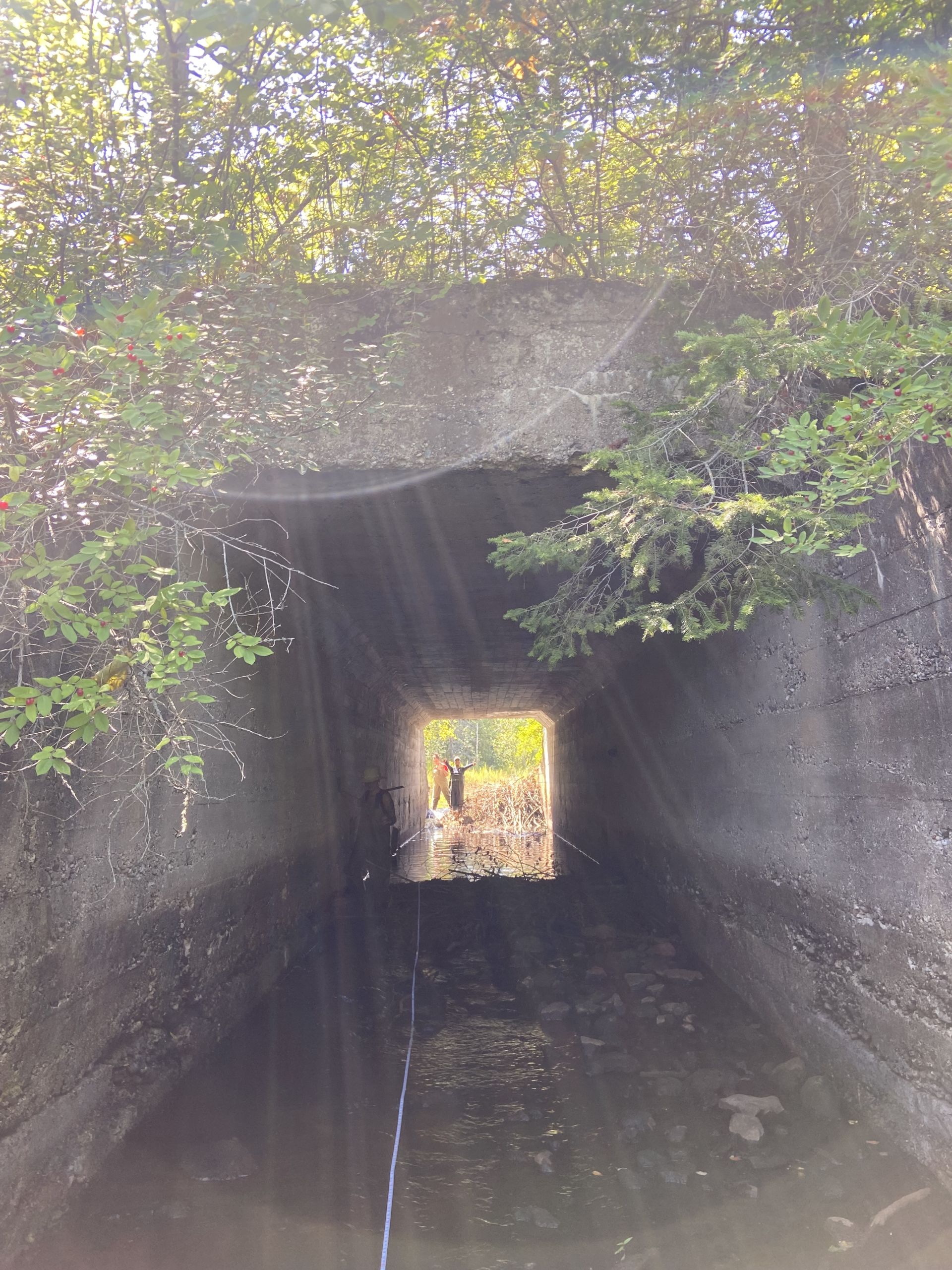 An image looking through a tunnel