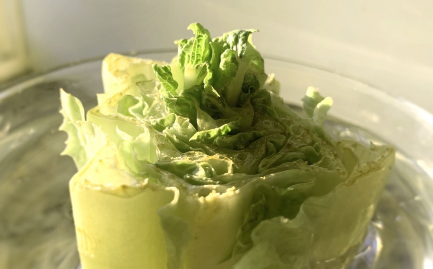 romiane lettuce