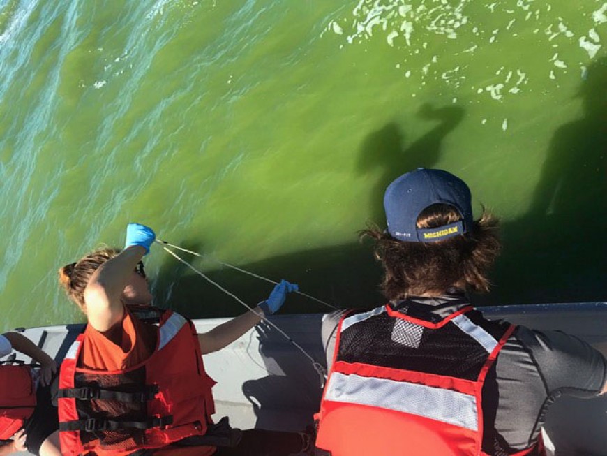 From lake to lab: wrangling Lake Erie&#039;s blooming algae