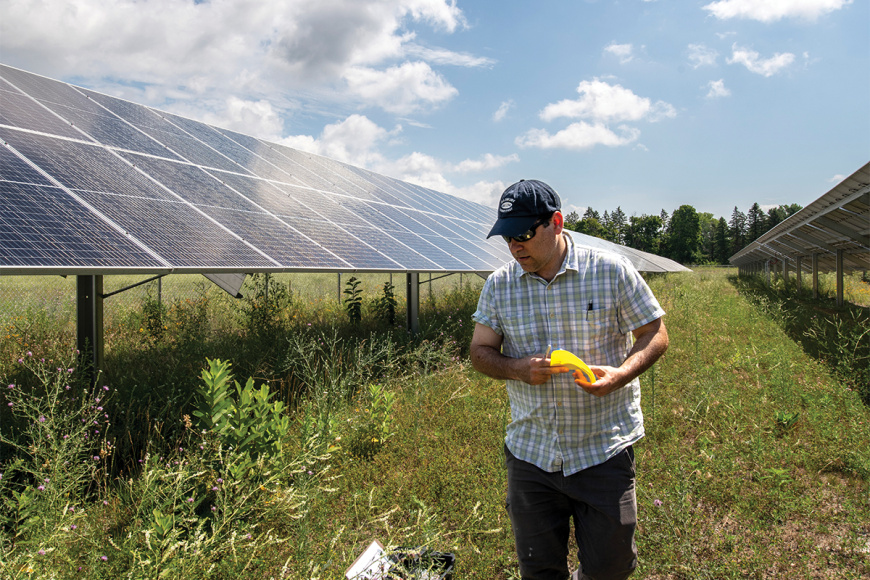 SEAS Assistant Research Scientist Brendan O’Neill looks over pollinator plants at the Cadillac Solar Gardens.