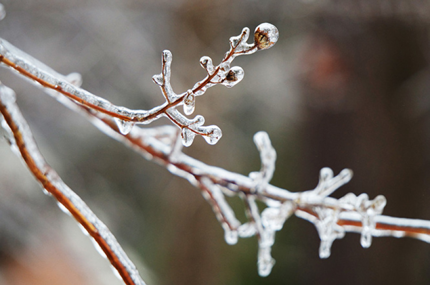 Ice storm and widespread power outages in Michigan: U-M experts available
