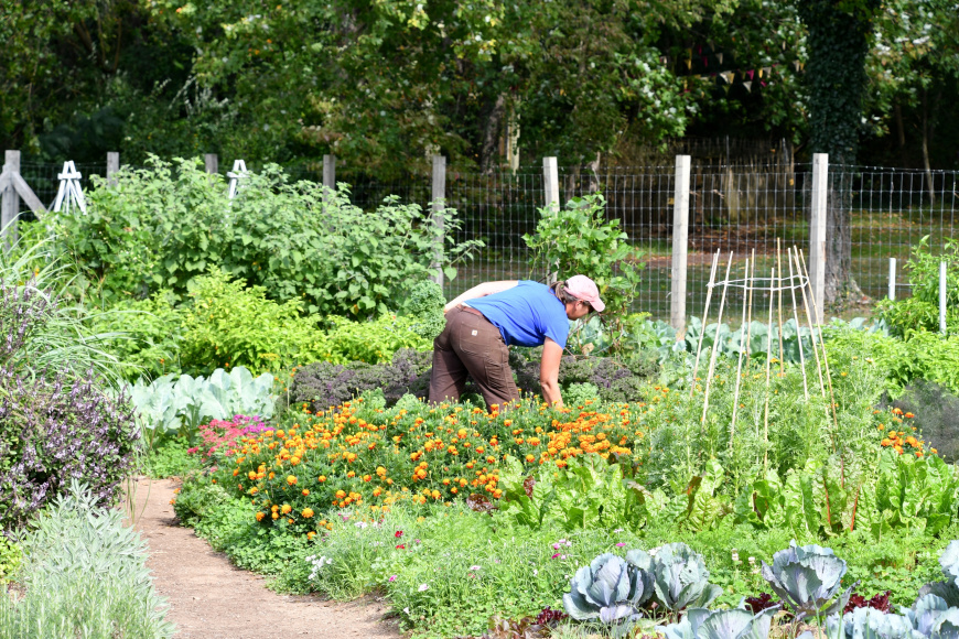 7 Green Gardening Tips to Celebrate National Gardening Day