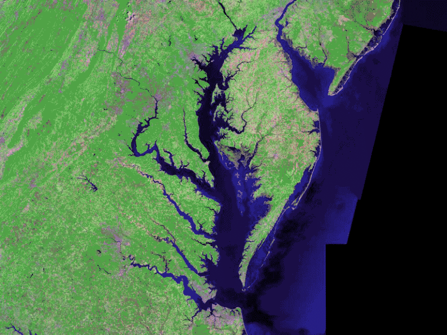 Chesapeake Bay’s dead zone predicted to be 33% smaller than long-term average