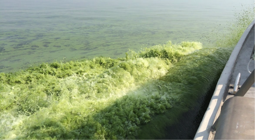 U-M lands $6.5M center to study Great Lakes algal blooms