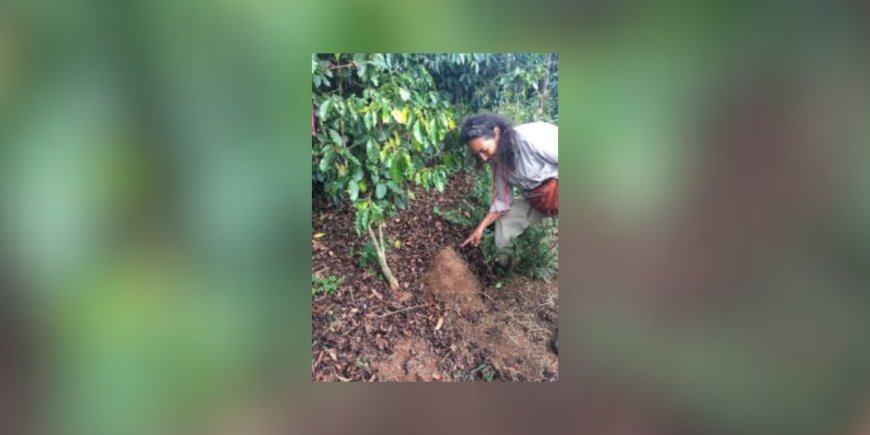 Unpacking chaos to protect your morning coffee